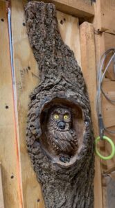 Kyle Hall owl carving